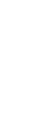 奥定山渓水脈が育む最高峰の美味しさ　定山渓野菜